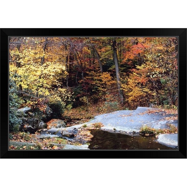 "Stream in Pennsylvania" Black Framed Print