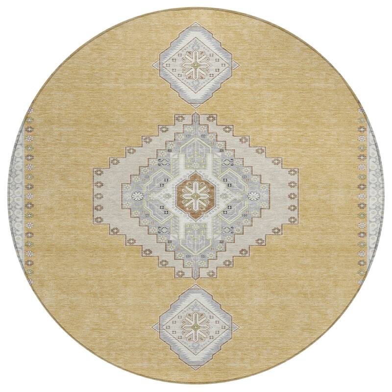 Machine Washable Indoor/ Outdoor Boho Traditional Chantille Rug
