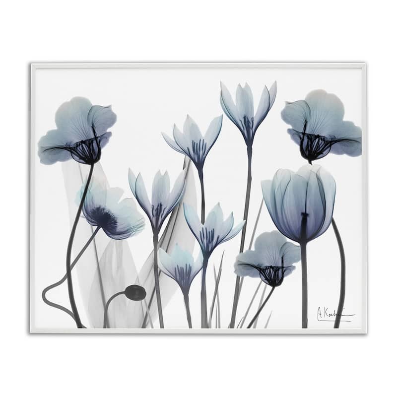 Stupell Delicate Mixed Chic Blooms Framed Giclee Art Design By Albert Koetsier - 20 x 16 - White