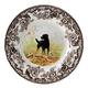 Option Black Labrador