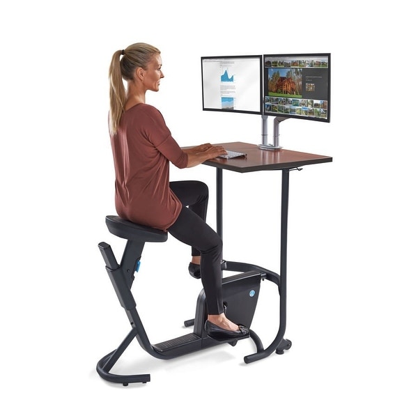Shop Lifespan Fitness Unity Spin Cycle Bike Desk Workstation