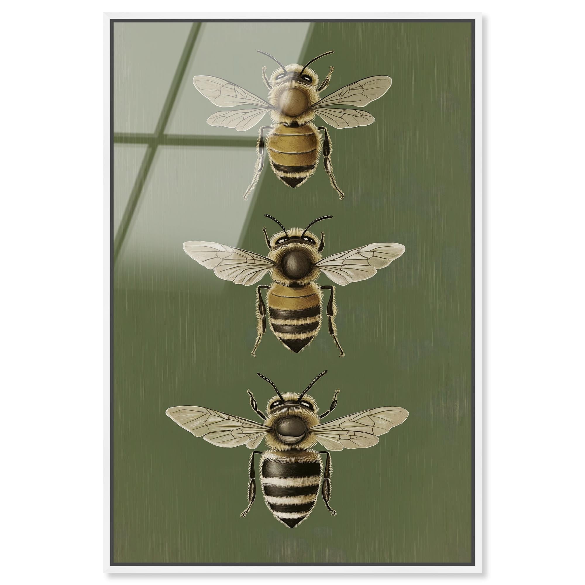 Anatomy of the Bee Vintage Framed Acrylic Wall Art by Art Remedy