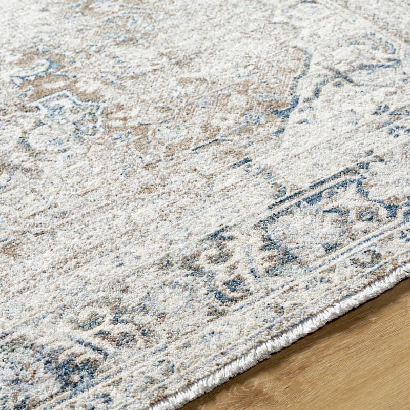 Dobbins Traditional Medallion Area Rug