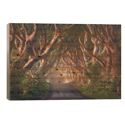 Golden Morning At The Dark Hedges In Northern Ireland Print On Wood by Daniel Gastager - Multi-Color