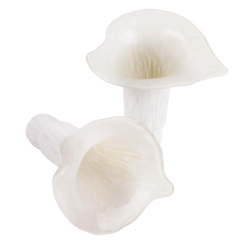 20-inch Antique Brass and Hand Blown Glass 5 Calla Lily Uplight Accent Lamp - 15" x 14" x 20"