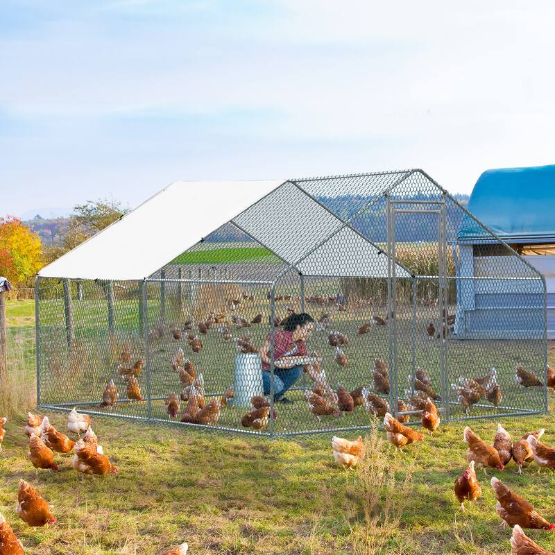 10x10 ft Metal Chicken Coop with Waterproof Cover and Lockable Door