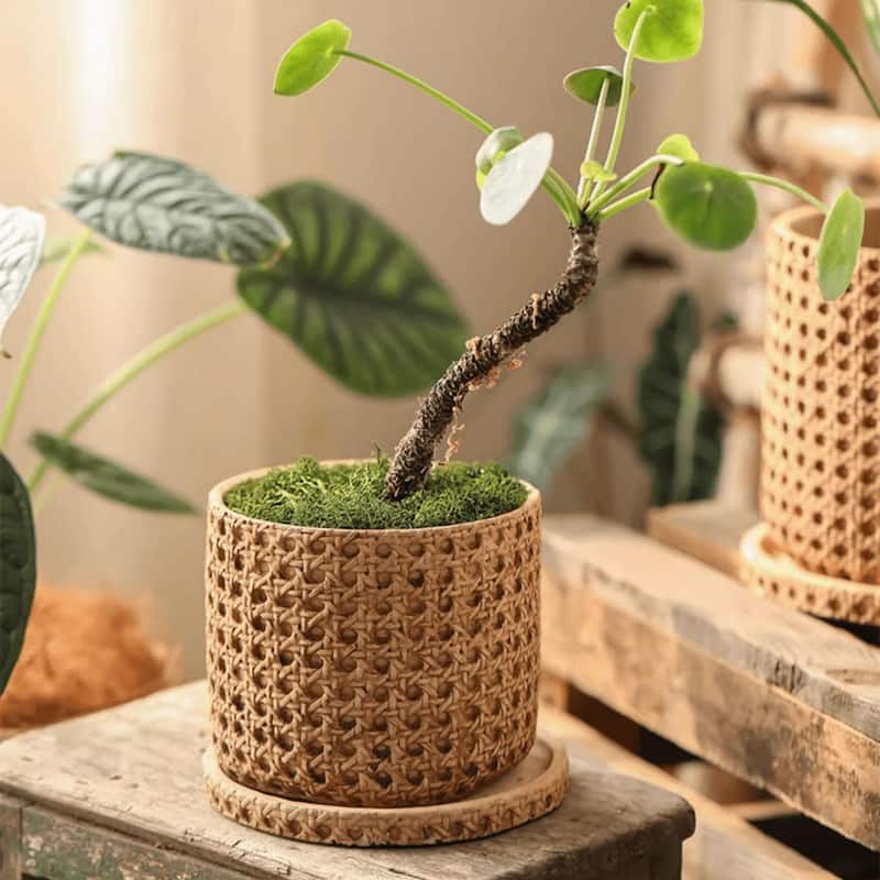 RusticReach Faux Woven Grid Cement Pot - Beige