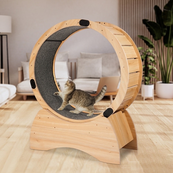 https://ak1.ostkcdn.com/images/products/is/images/direct/ceafc0c7f921974c897e935e88342c93abcdf6ad/Exercise-Wheel--Running%2C-Spinning%2C-and-Scratching-Fun%2C-Cat-Treadmill-with-Carpeted-Runway%2C-Kitty-Cat-Sport-Toy.jpg