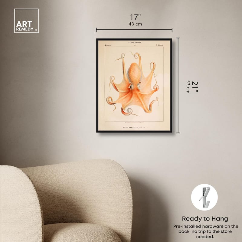Verany The Octopus 1815 II Canvas by Art Remedy