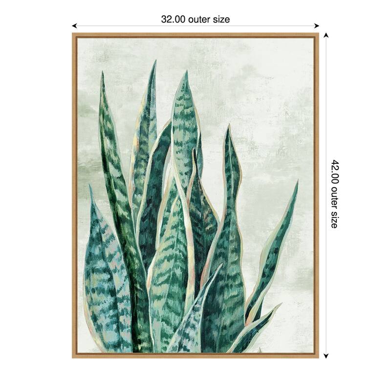 Amanti Art Reaching Snake Plant by PI Studio Framed Canvas Wall Art Print - Sylvie Maple - 32x42