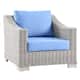 Option Light Gray Light Blue