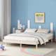 Option White Washed