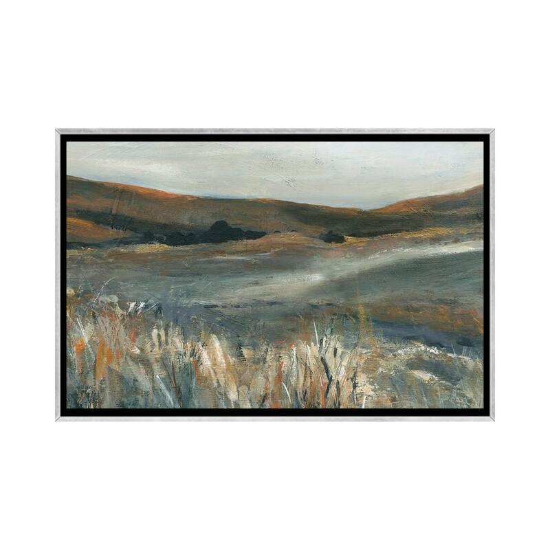 iCanvas "Copper Sunset" by Carol Robinson Framed