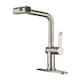 Option Brushed Nickel (Touchless Version)