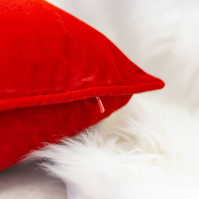 Elisa Velvet 20" Square Decorative Throw Pillow 2PK