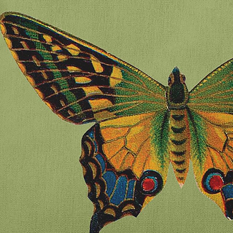 Colorful Swallowtail Polyester Indoor Pillow