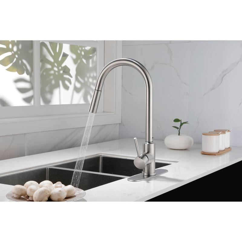 Stainless Steel Kitchen Faucet with Pull Down Sprayer