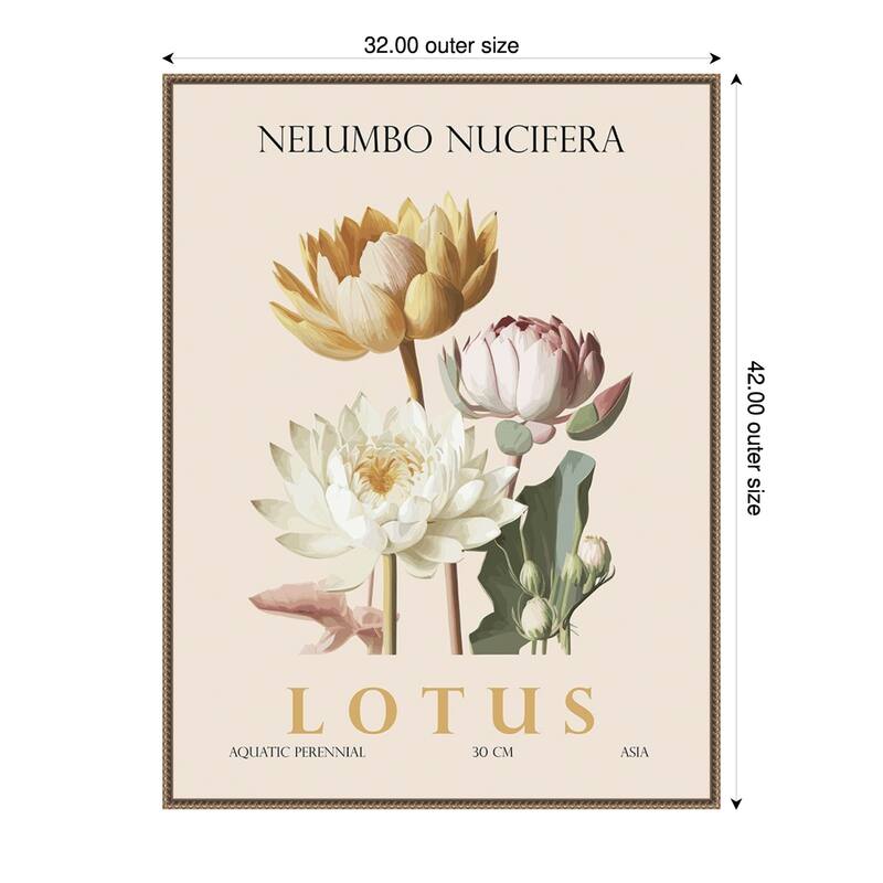 Vintage Botanical Lotus Illustration by Christopher Giampietro Framed Canvas Wall Art Print - Gold - 32 x 42 in
