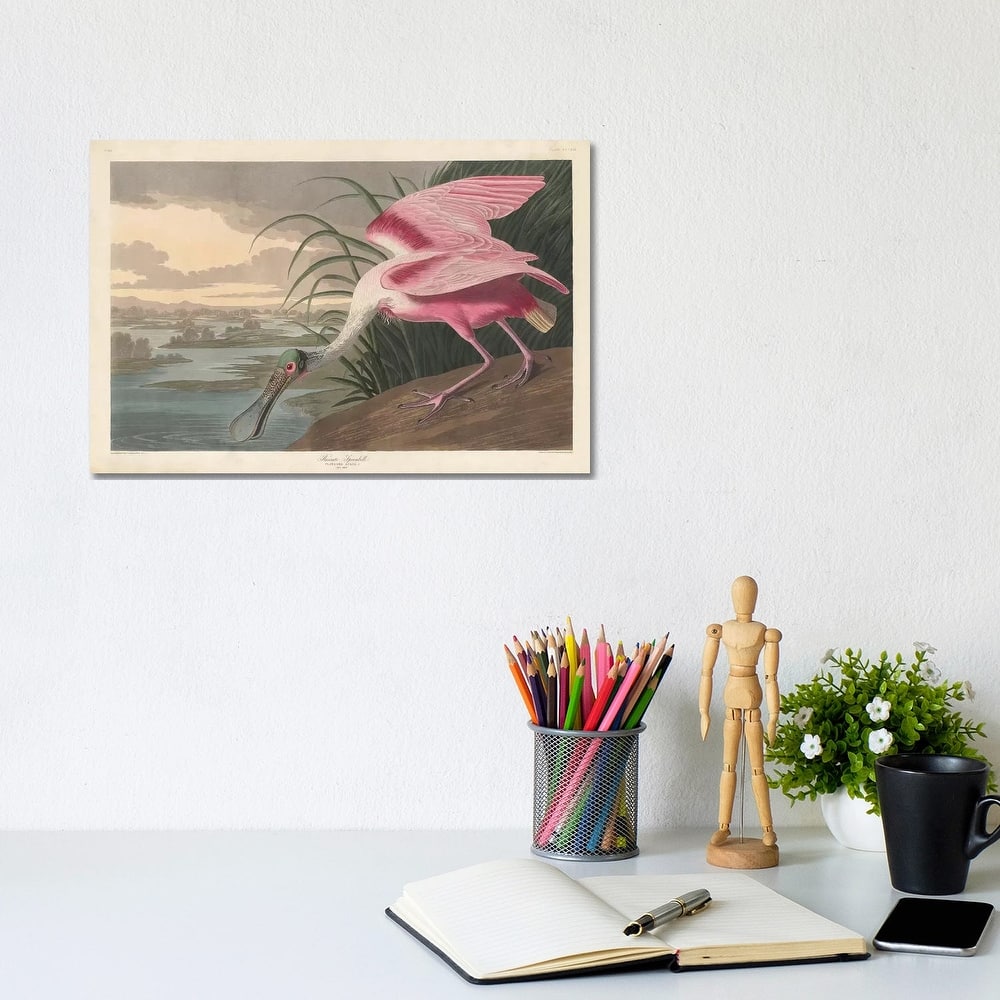 iCanvas "Roseate Spoonbill, 1836" by John James Audubon Canvas Print
