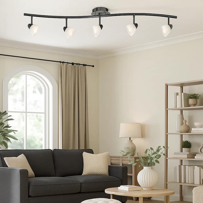 5 Light 120V Metal Track Light Fixture with Glass Shade, Black and White