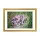 preview thumbnail 13 of 13, iCanvas "Baby Bunnies" by Karen Burke Gold - 16x24x1