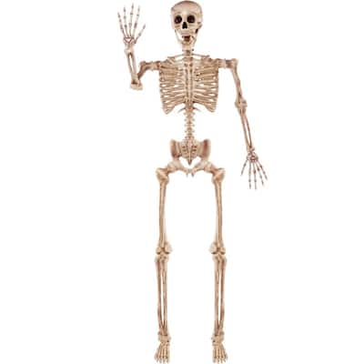 Joyfy White 5.6 FT Halloween Posable Body Skeleton made of Plastic