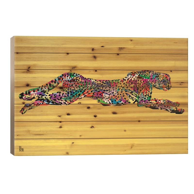 Cheetah Print On Wood by TECHNODROME1 - Multi-Color - 26x40x1.5