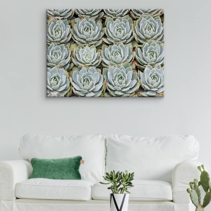 Succulent Grid by Robin Constable Hanson Canvas Art Print