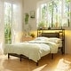 preview thumbnail 66 of 82, Headboards with Storage Shelves, Head Board with Power Outlet and LED Light for Bed Frame