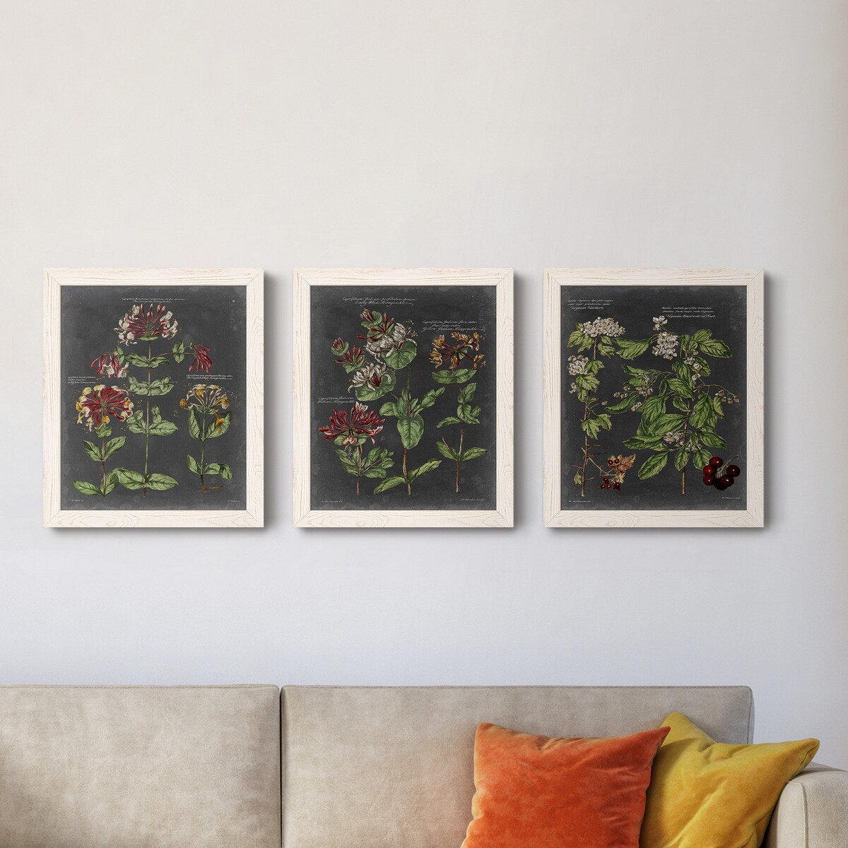 Vintage Botanical Chart I-Premium Framed Canvas - Ready to Hang