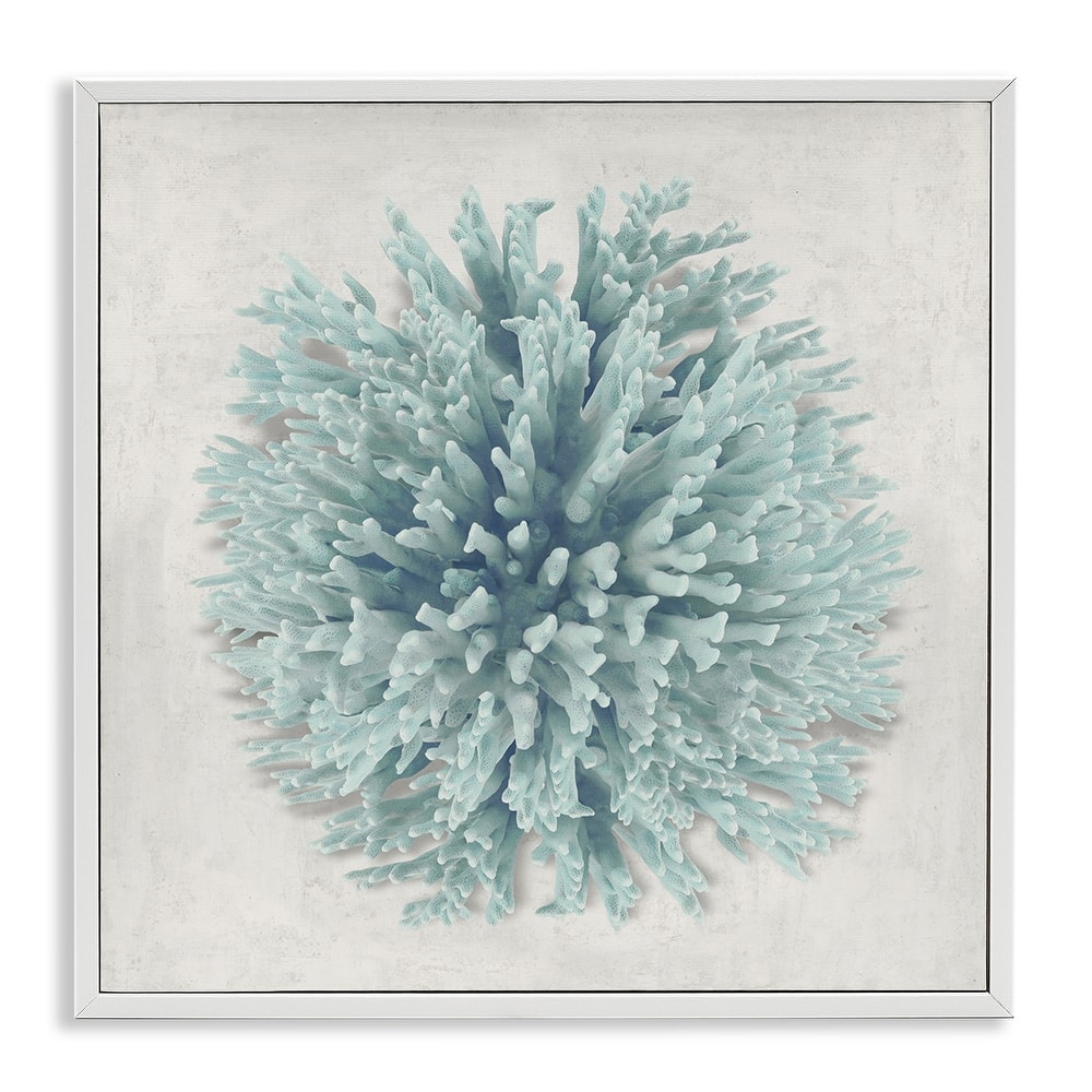 Stupell Coral Ball Blue Sea Beach Design,12 x 12, Framed Wall Art