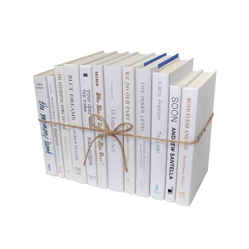 Books White Decorative Accessories: Snowfall ColorPak