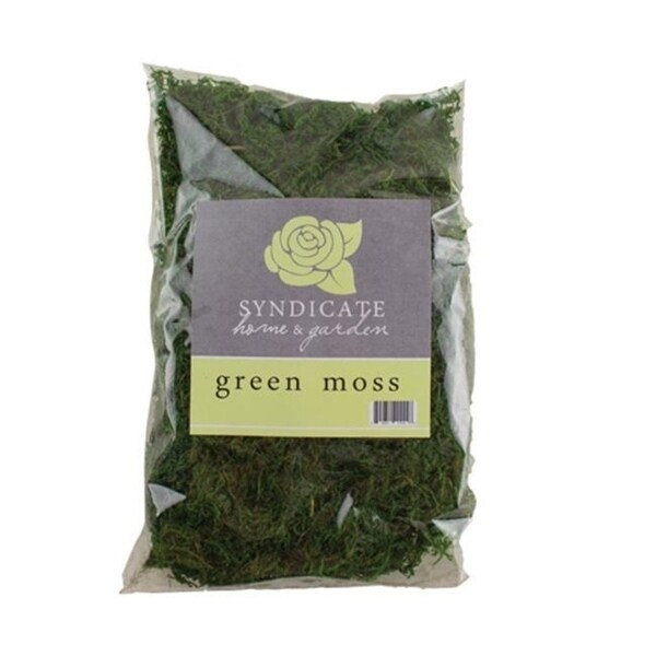 Syndicate Home & Garden 9670-12-00 Green Moss Bag Quart - 6 in. - Case of 12