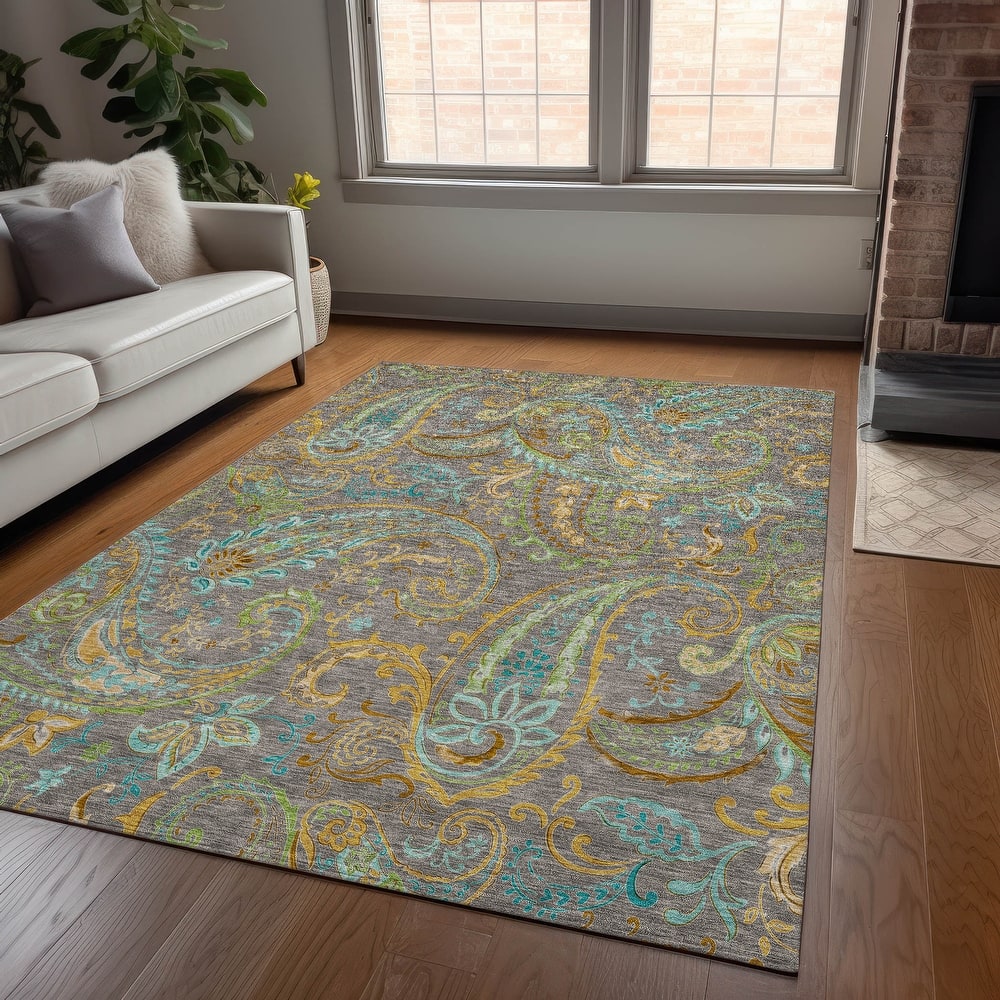 Machine Washable Indoor/ Outdoor Paisley Chantille Rug