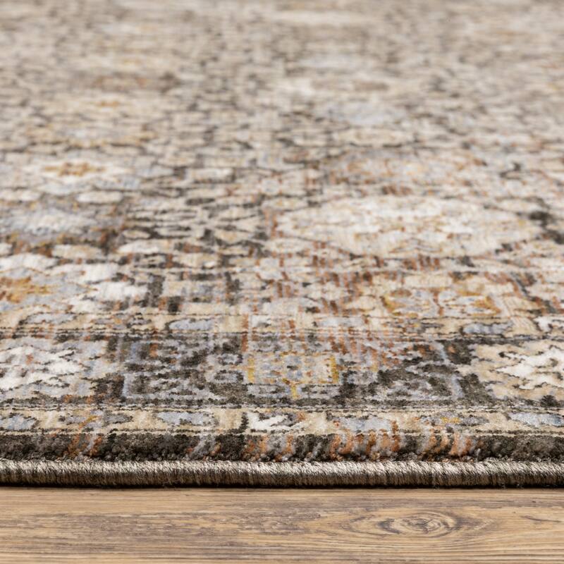Style Haven Marley Vintage Floral Traditional Fringed Area Rug