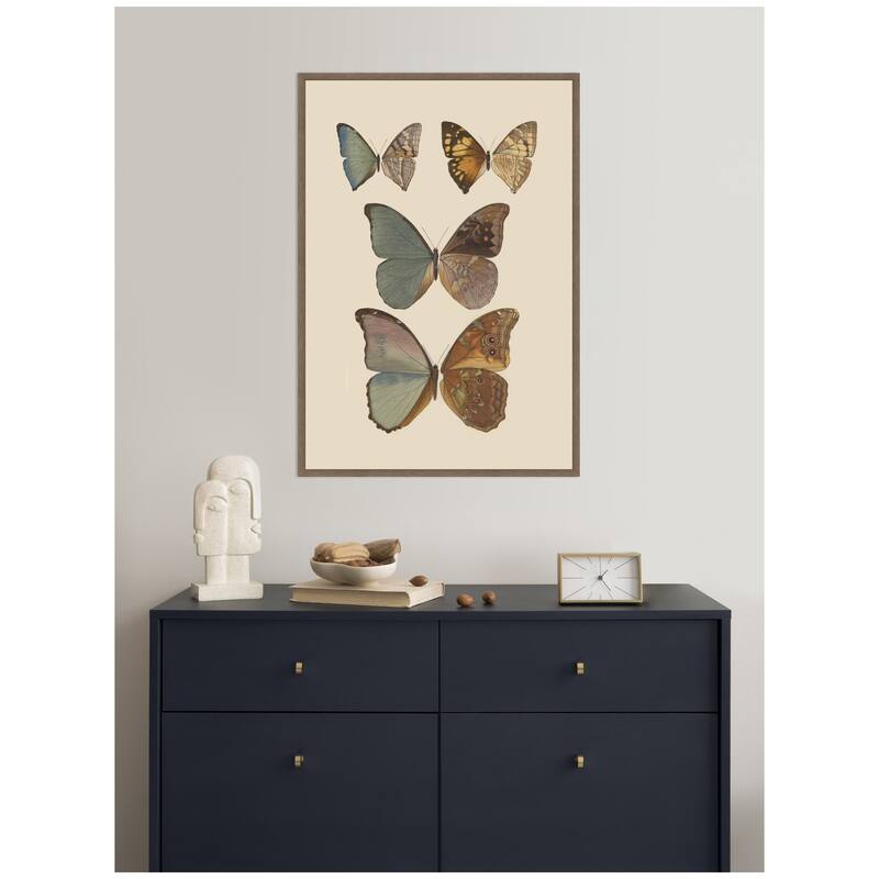 Kate and Laurel Exotische schmetterlinge Pl 067 by Otto Staudinger by Nostalgia Prints Framed Canvas Wall Art Print