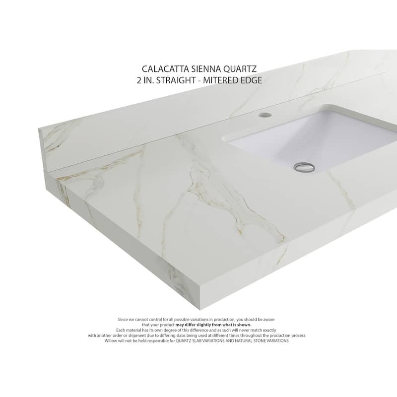 Willow Collections 48 in. W x 22 in. D Aberdeen Single Bowl Sink Bathroom Vanity with Countertop