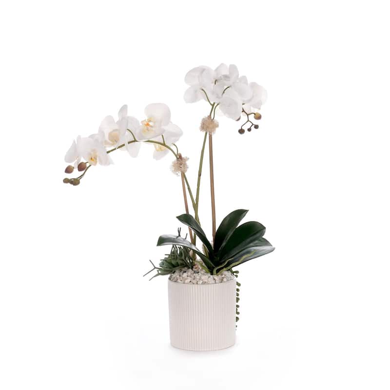 Real Touch White Orchid Flower Arrangement in White Pot