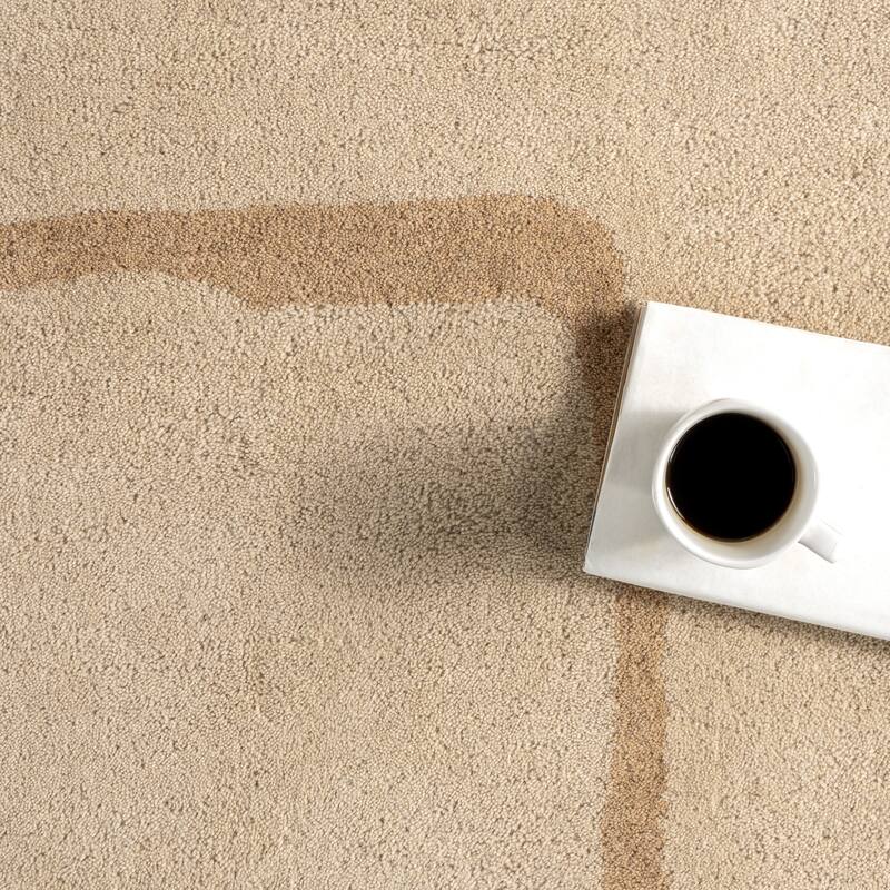 Contessa Bordered Wool Area Rug
