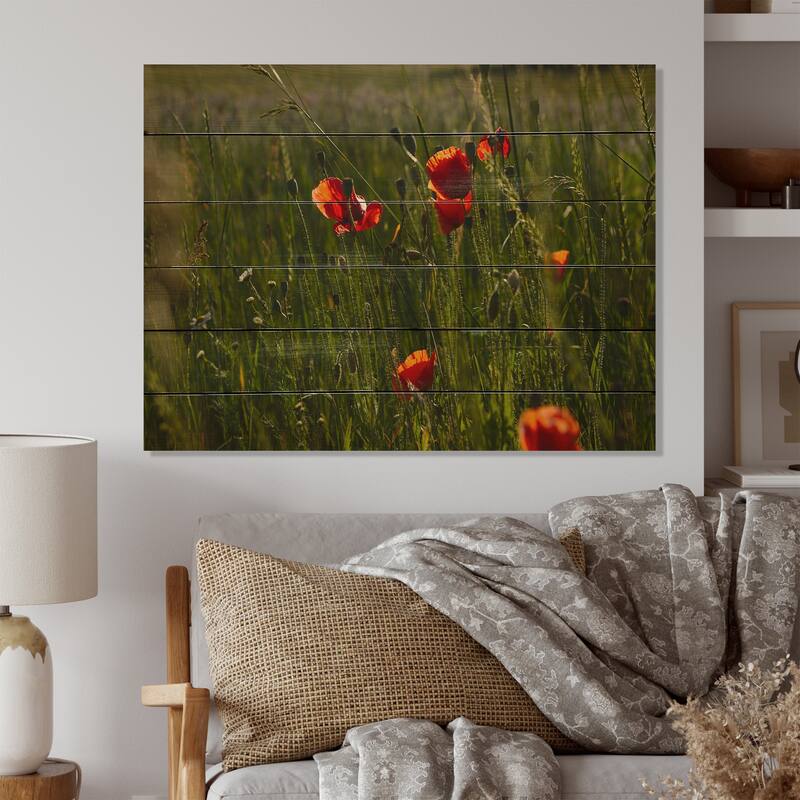 Designart 'Green Field Of Red Poppies' Traditional Wood Wall Art Panels
