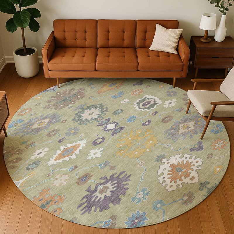 Machine Washable Indoor/ Outdoor Traditonal Delhi Chantille Rug