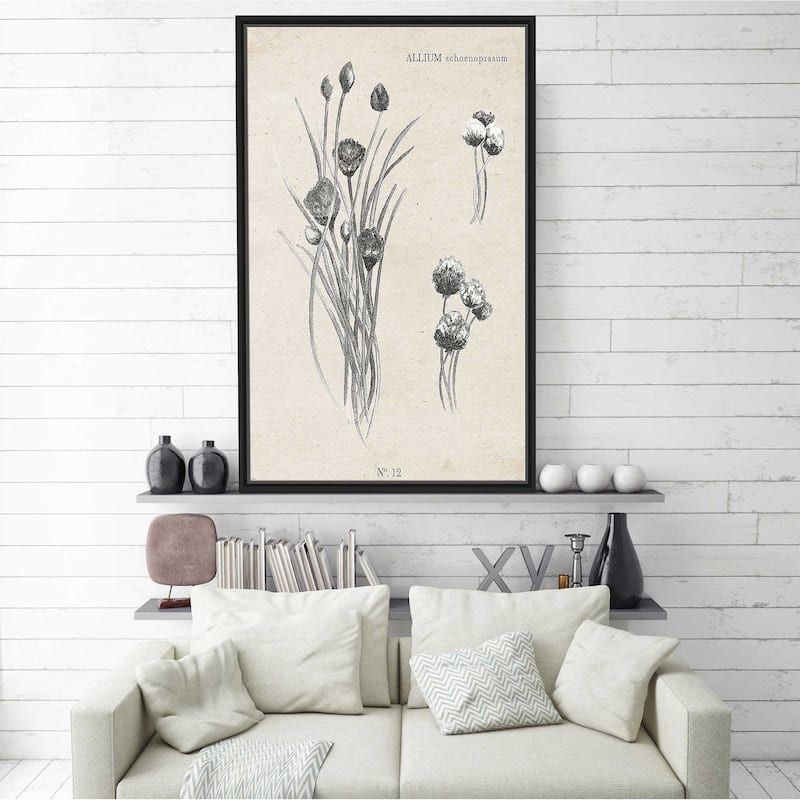"Latin Botanicals III" Print on Floating Canvas