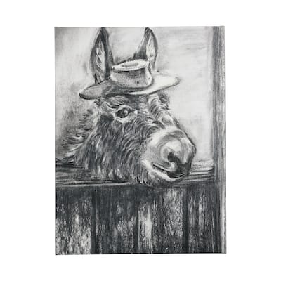 Donkey II (30 x 40) Canvas Art Print