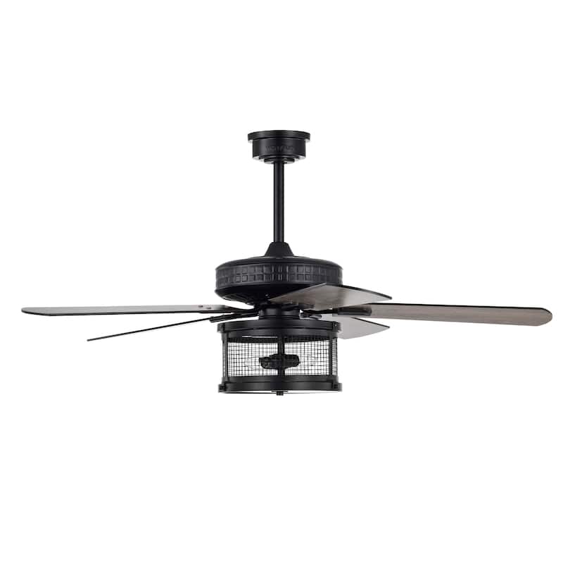 Carmella 25 Inch Industrial Style Lighted Ceiling Fan Cage with Remote