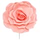 Option Blush Pink