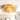 2-Light Modern Drum Round Clear Seeded Glass Flush Mount Ceiling Light