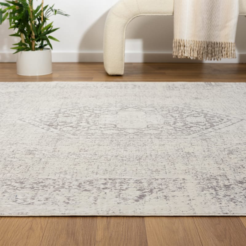 Sevita Traditional Bordered/Medallion Indoor Area Rug