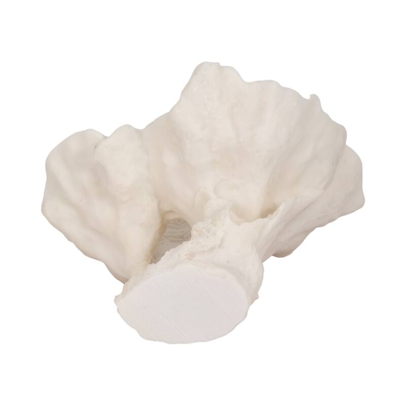 Resin Coastal Coral-Inspired Sculpture Textured Detail - 12" Ivory - 11" x 11" x 12"
