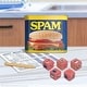 preview thumbnail 2 of 1, Spam Yahtzee Dice Game