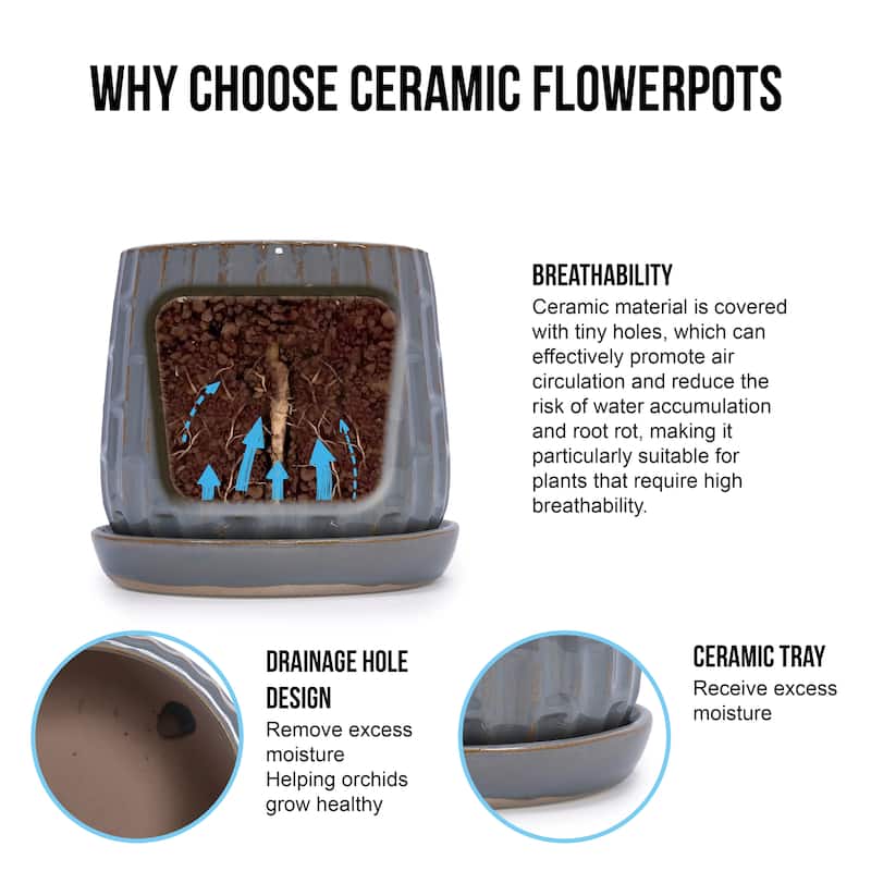 2 Pack Succulent Pots, 6" & 8" Mini Ceramic Plant Pots for Flower or Cactus Plants